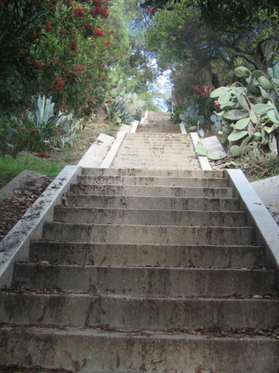 Verdugo Mountains, Deukmejian Wilderness Park, Los Angeles, 60 Hikes Within 60 Miles: Los Angeles, Laura Randall, hikes near Los Angeles