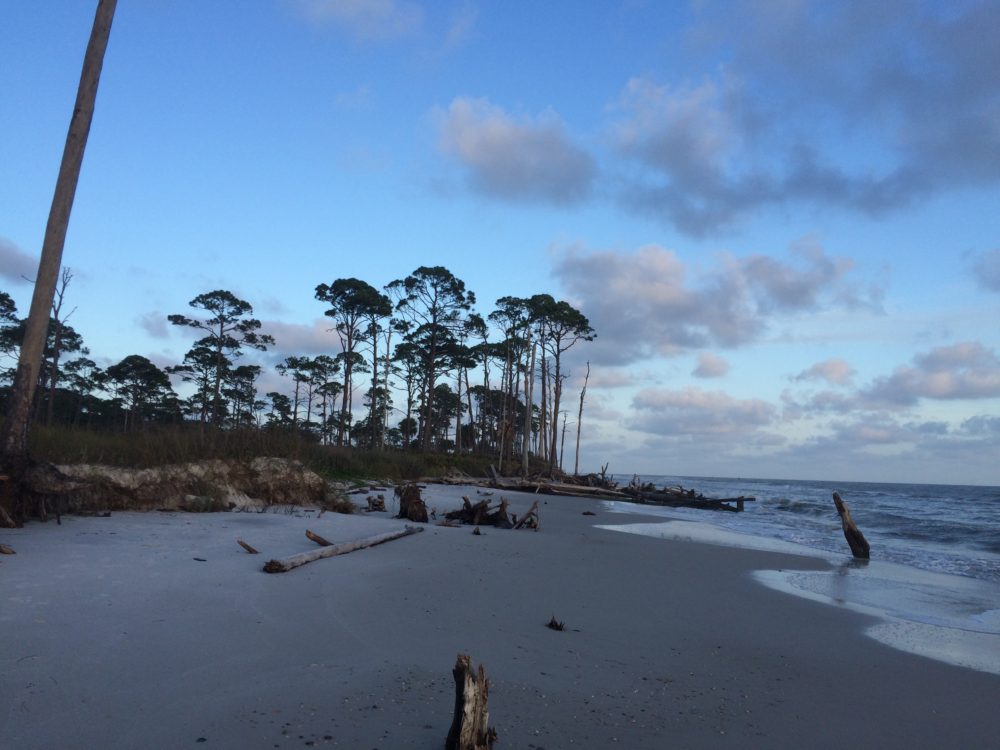 St. Joseph Peninsula State Park, Port St. Joe, Florida camping, panhandle camping, fall camping in Florida