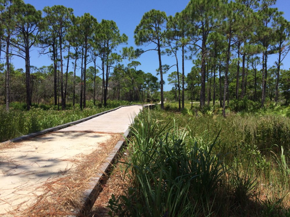 St. Joseph Peninsula State Park, Port St. Joe, Florida camping, panhandle camping, fall camping in Florida