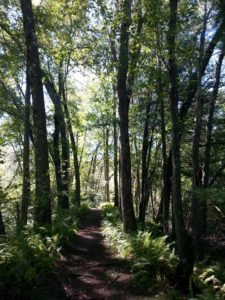 60 Hikes Within 60 Miles: Boston, Lafe Low, Nonet Peak, hikes near Boston,