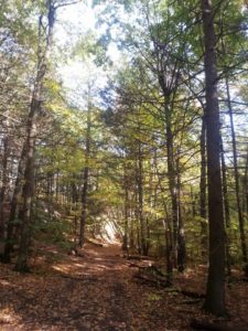 60 Hikes Within 60 Miles: Boston, Lafe Low, hikes near Boston,