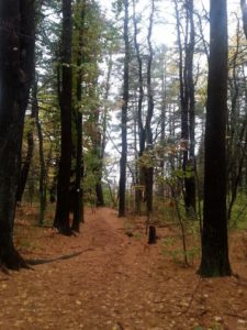 60 Hikes Within 60 Miles: Boston, Lafe Low, hikes near Boston,