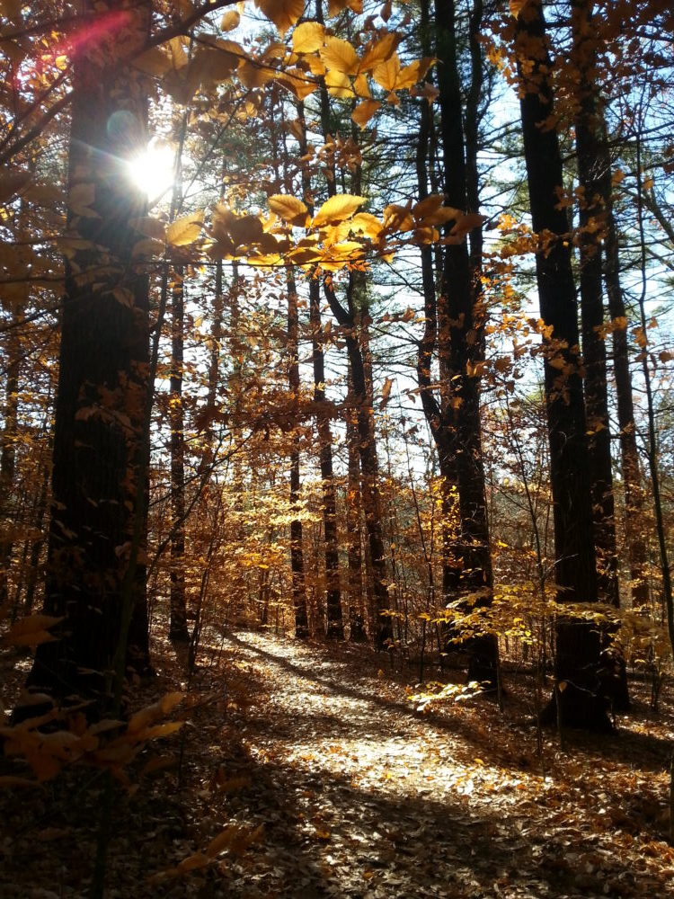 60 Hikes Within 60 Miles: Boston, Lafe Low, hikes near Boston