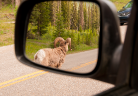 Guide to the Alaska Highway, Alaska Highway