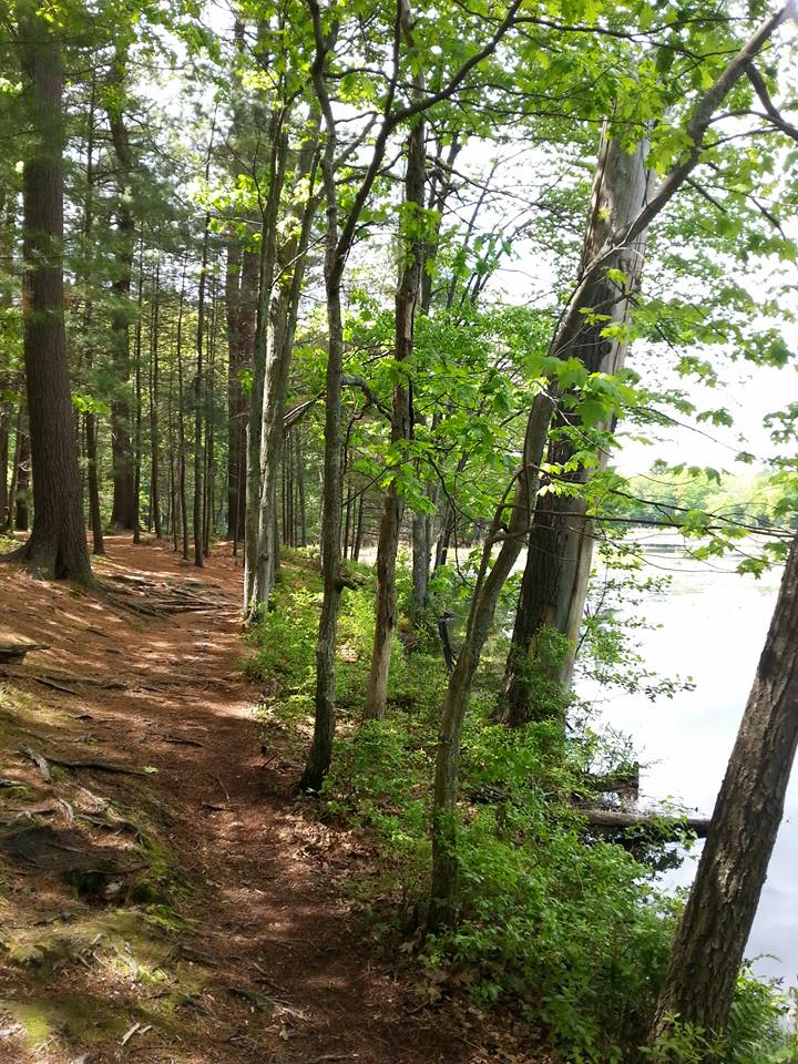 60 Hikes Within 60 Miles: Boston, Lafe Low, hiking near Boston