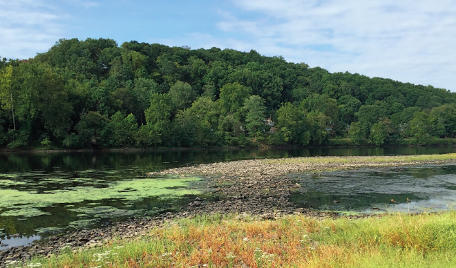 60 Hikes Within 60 Miles: Philadelphia, hiking in Philadelphia, swimming near Philadelphia, Green Lane Park