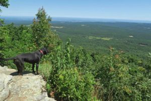 Mount Magazine, Five-Star Trails: The Ozarks, Jim Warnock, Hiker-dog, hiking in Arkansas