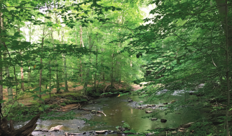 60 Hikes Within 60 Miles: Philadelphia, Lori Litchman, best fall hikes near Philadelphia