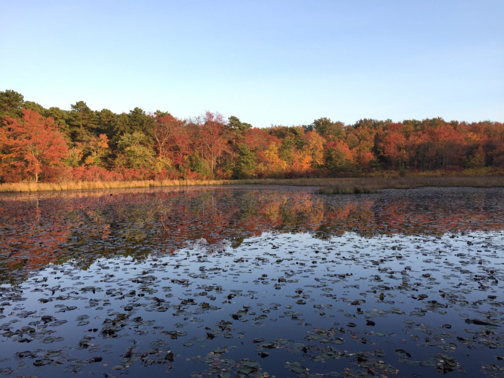 60 Hikes Within 60 Miles: Philadelphia, Lori Litchman, best fall hikes near Philadelphia