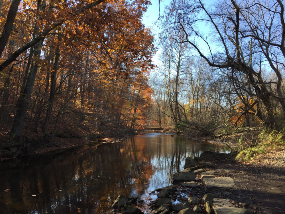 60 Hikes Within 60 Miles: Philadelphia, Lori Litchman, best fall hikes near Philadelphia