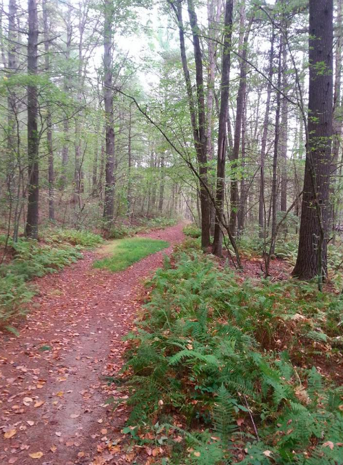 60 Hikes Within 60 Miles: Boston, Boston hiking, Lafe Low, Menasha Ridge Press