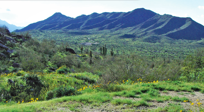 Easy hikes in Phoenix, 60 Hikes Within 60 Miles: Phoenix