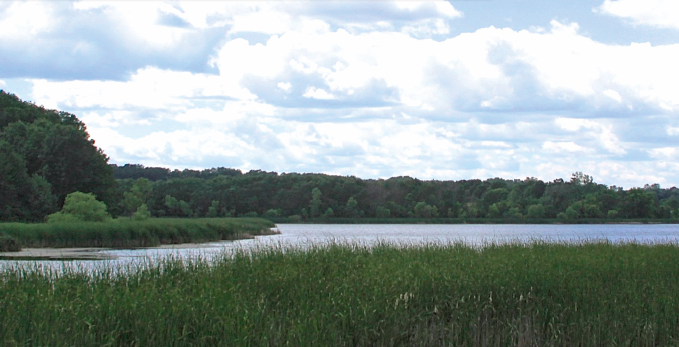 Best Tent Camping: Minnesota, 60 Hikes within 60 Miles: Minnesota, Tom Watson