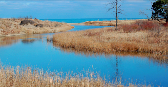 60 Hikes Within 60 Miles: Chicago, Ted Villaire, Menasha Ridge Press, hikes with swimming in Chicago