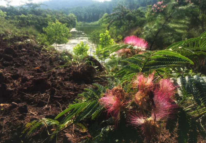 Red Rocks Trail System, Birmingham, Freshwater Land Trust