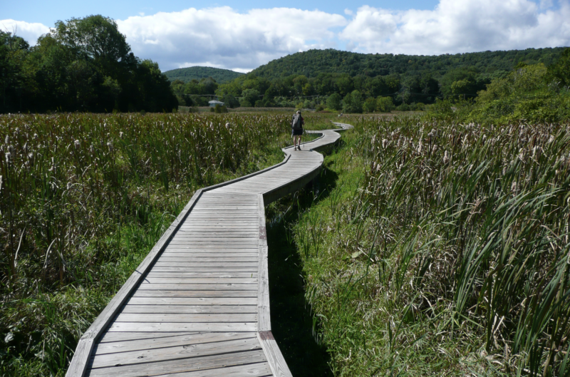 Best of the Appalachian Trail: Overnight Hikes, Appalachian Trail, sleeping on the AT