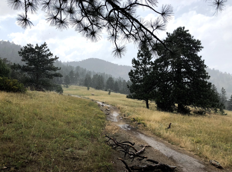 60 Hikes Within 60 Miles: Denver, Mindy Sink, Menasha Ridge Press, Betasso Preserve