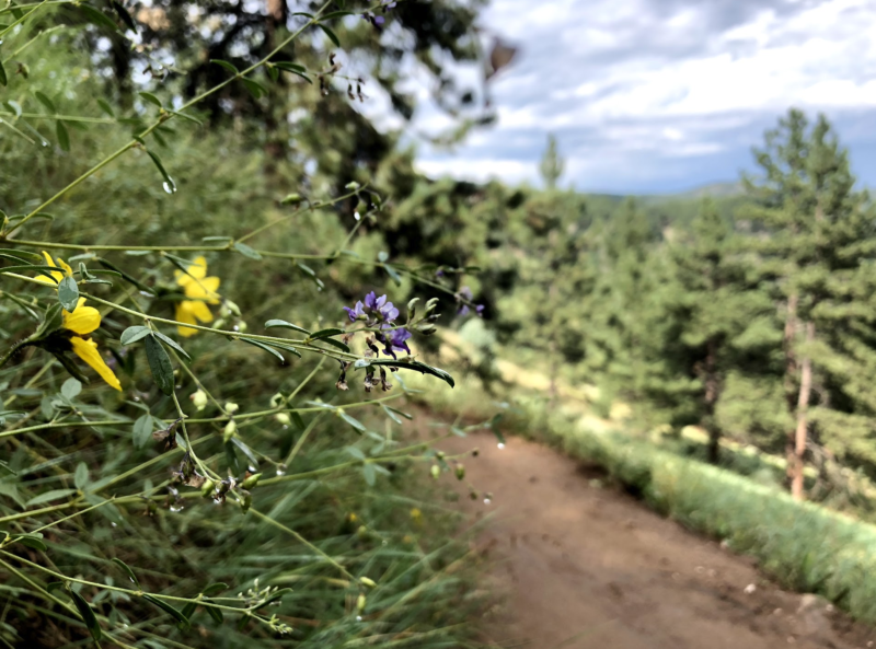 60 Hikes Within 60 Miles: Denver, Mindy Sink, Menasha Ridge Press, Betasso Preserve