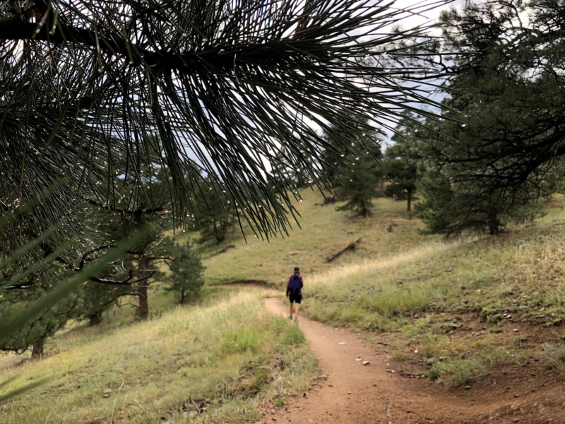 60 Hikes Within 60 Miles: Denver, Mindy Sink, Menasha Ridge Press, Betasso Preserve