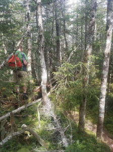 Peak Above the Nubble, White Mountains, bushwhacking, Lafe Low, Menasha Ridge Press