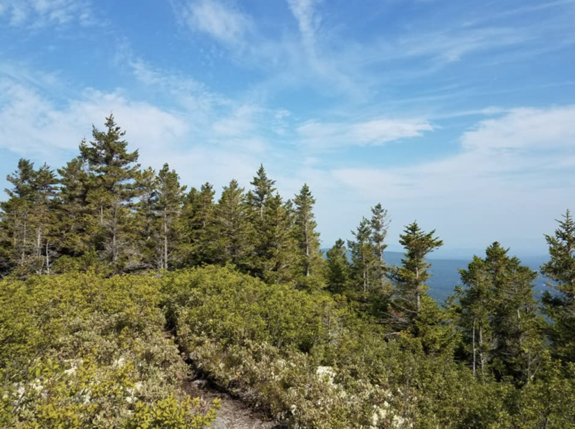 Peak Above the Nubble, White Mountains, bushwhacking, Lafe Low, Menasha Ridge Press