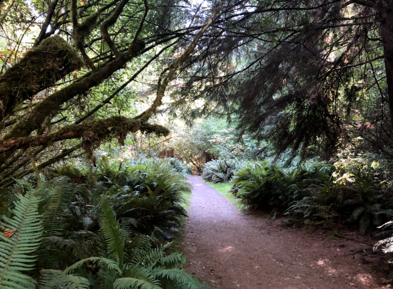 Live Like a Local - Hike, Shop Local Live Local, Tacoma, AdventureKEEN, business traveling tips, Point Defiance Park