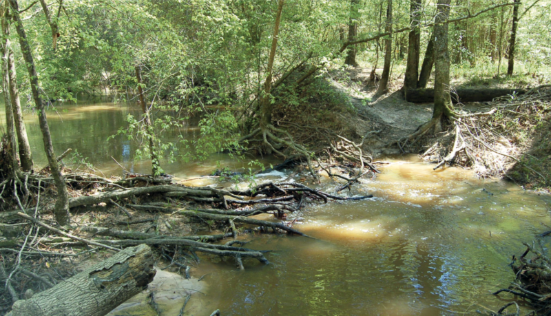 Trail running Houston, 60 Hikes Within 60 Miles: Houston