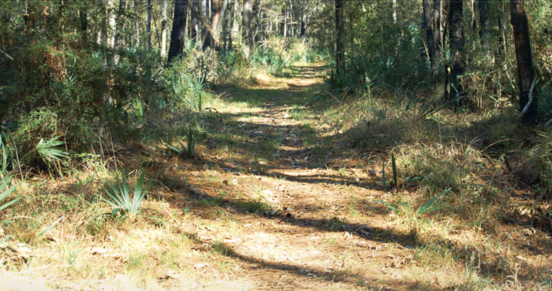 Trail running Houston, 60 Hikes Within 60 Miles: Houston