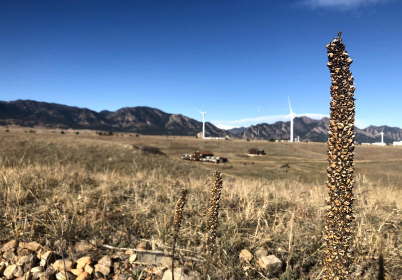 Rocky Flats National Wildlife Refuge, Mindy Sink, Wilderness Press, 60 Hikes Within 60 Miles: Denver