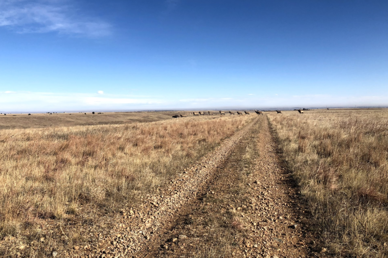 Rocky Flats National Wildlife Refuge, Mindy Sink, Wilderness Press, 60 Hikes Within 60 Miles: Denver