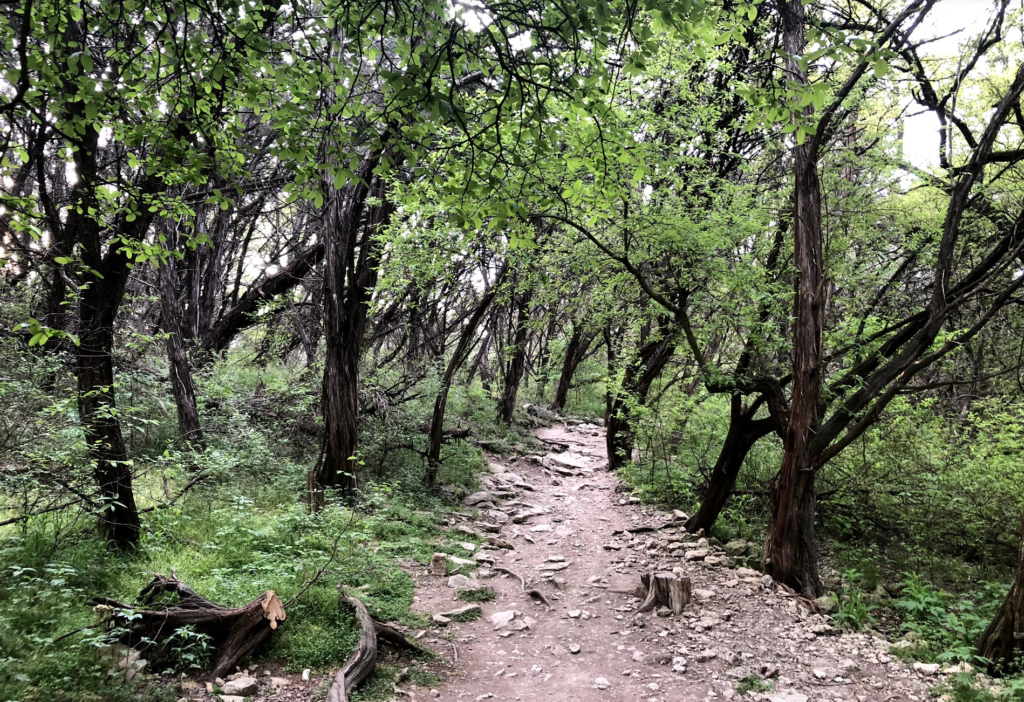 Turkey Creek Trail Austin