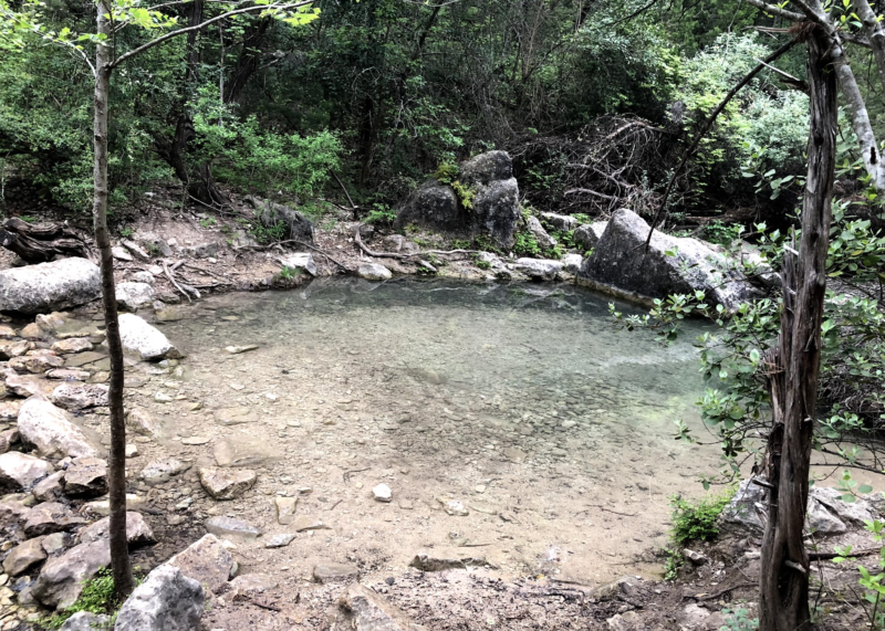 Turkey Creek Trail Austin