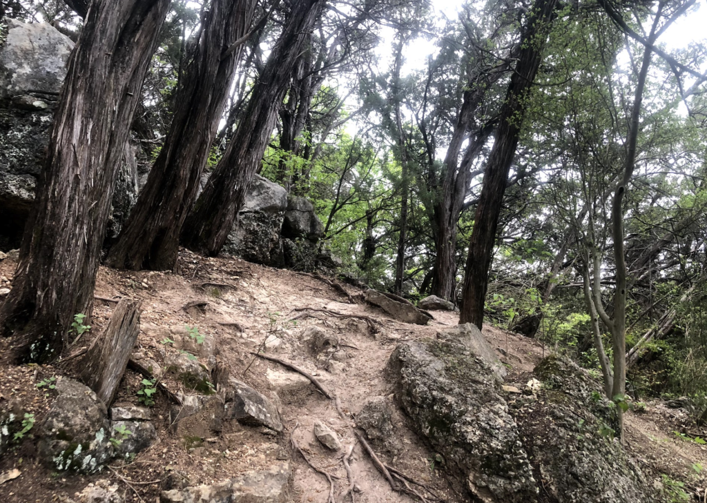 Turkey Creek Trail Austin