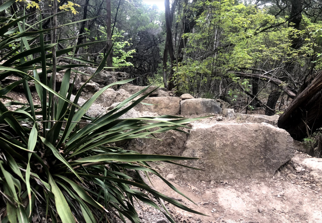 Turkey Creek Trail Austin