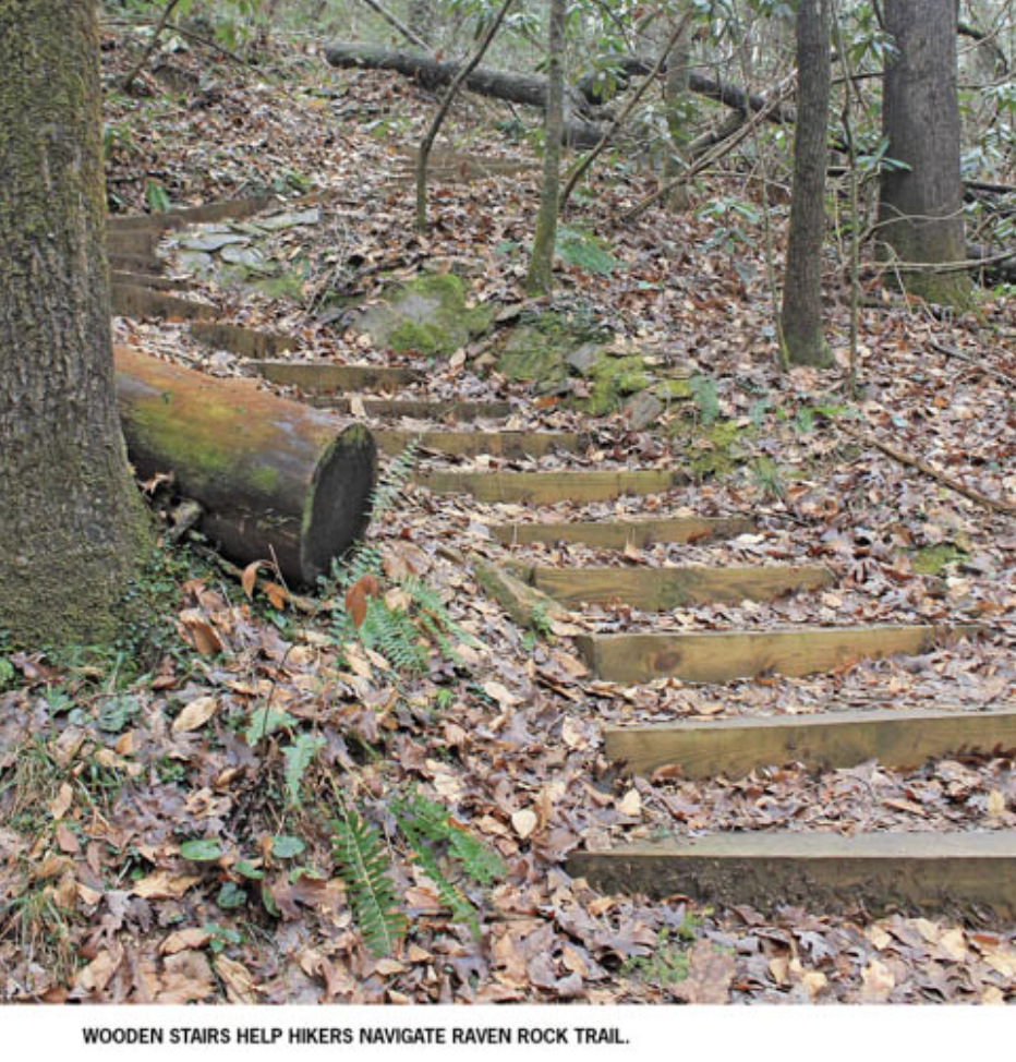 Picture of wooden stairs on hiking trail.