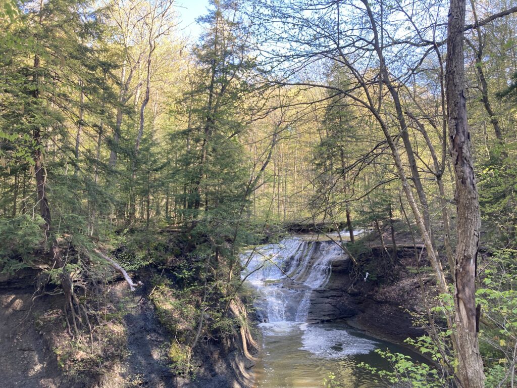 Picture from hike in Cleveland's 60 Hikes within 60 Miles guidebook. Picture by Diane Stresing.