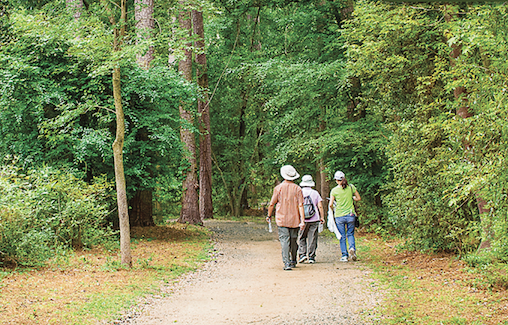 picture of people walking on a trail in the woods