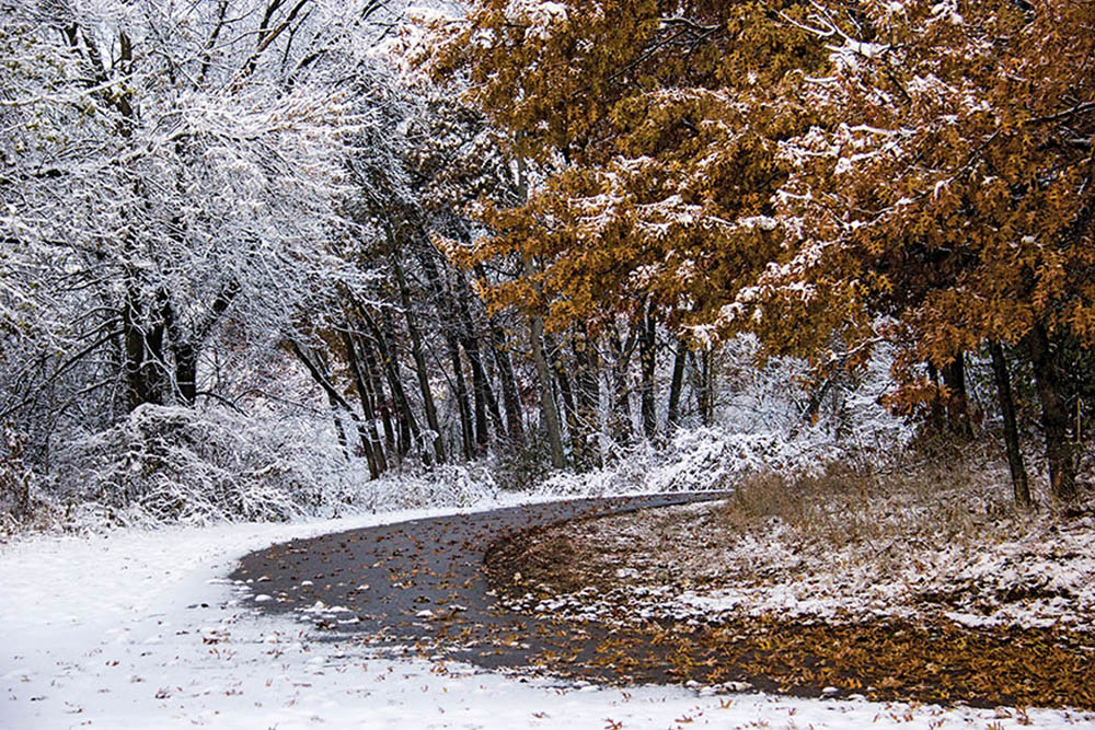 a trail covered in snow in the woods