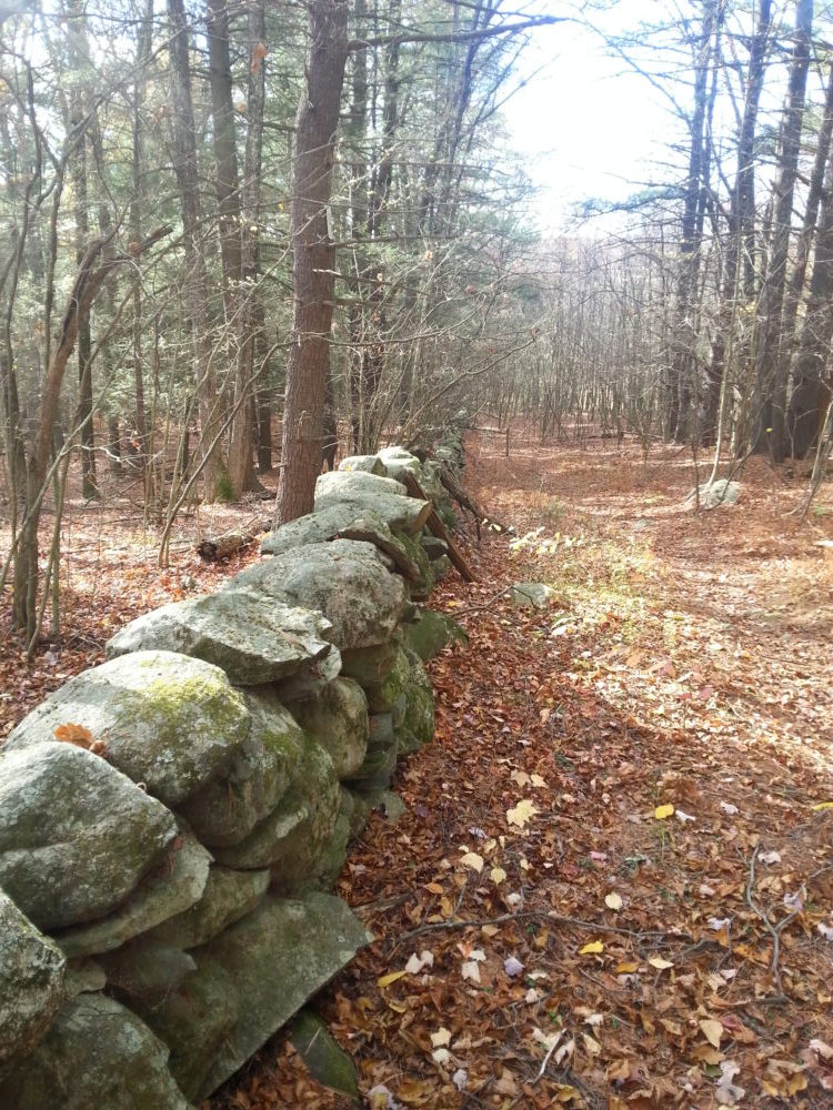 60 Hikes Within 60 Miles: Boston, Lafe Low, hikes near Boston, Cedar Hill Sawink Farm