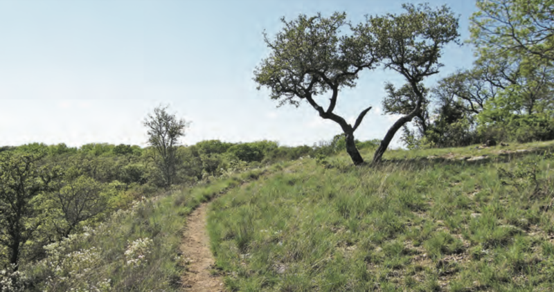 Hiking in Dallas, Thanksgiving Dallas Hikes, 60 Hikes Within 60 Miles: Dallas