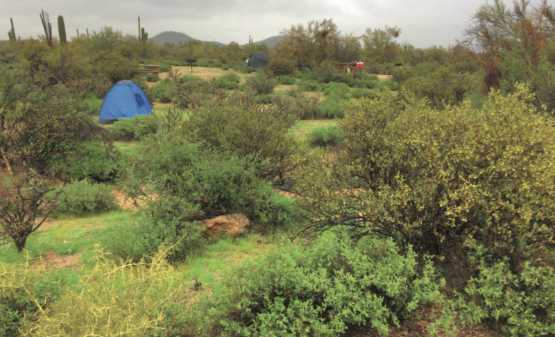 Best Tent Camping: Arizona, Winter camping Arizona