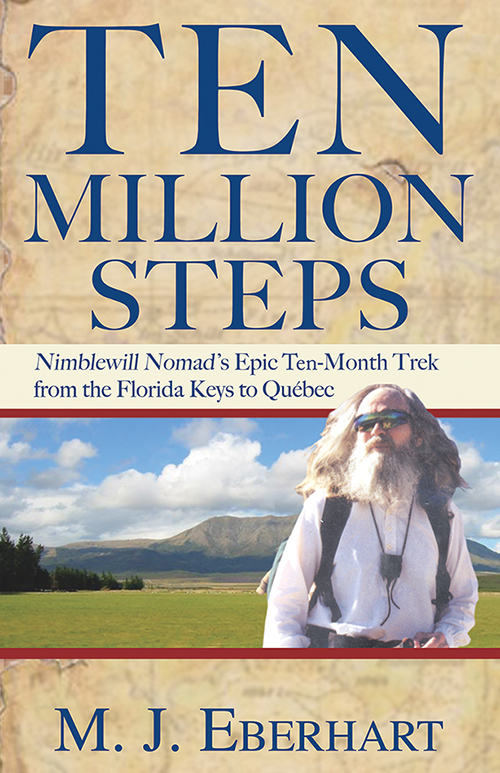Ten Million Steps cover